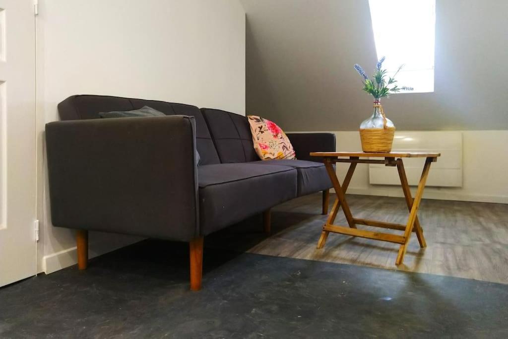 Le Cours Foucault - 3 Appartements - 8 Couchages Montauban Esterno foto